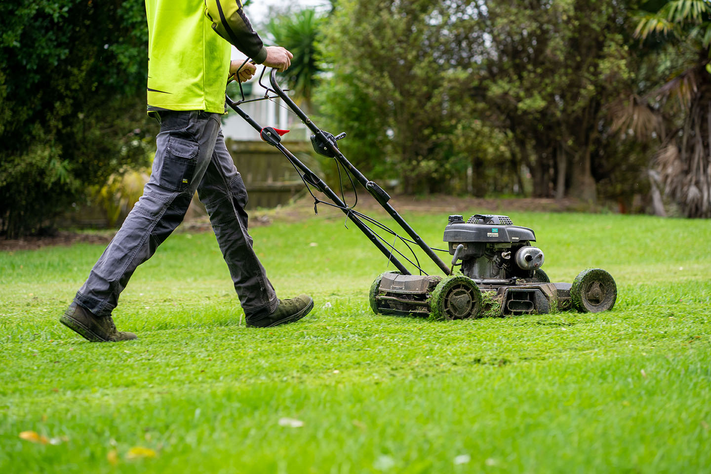 Overgrown Yard Cleanup & Transformation