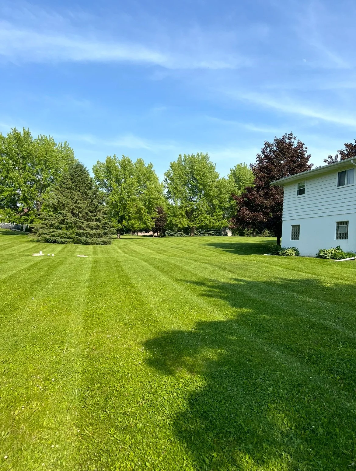 Manicured Turf & Precision Edging