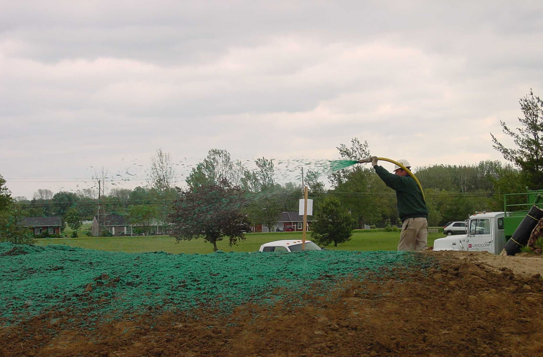 Shrub Pruning & Garden Bed Care